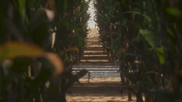 3d render dolly zoom motion design animation realistic unreal engine