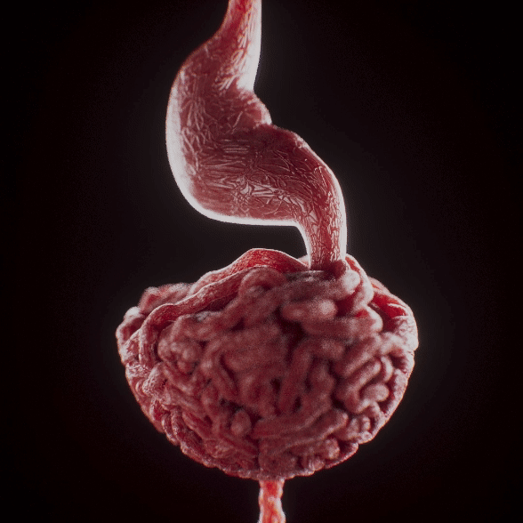 3d motion design render animated guts simulation stop motion effect